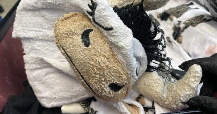 LAX airport security seize allegedly meth-caked cow onesie