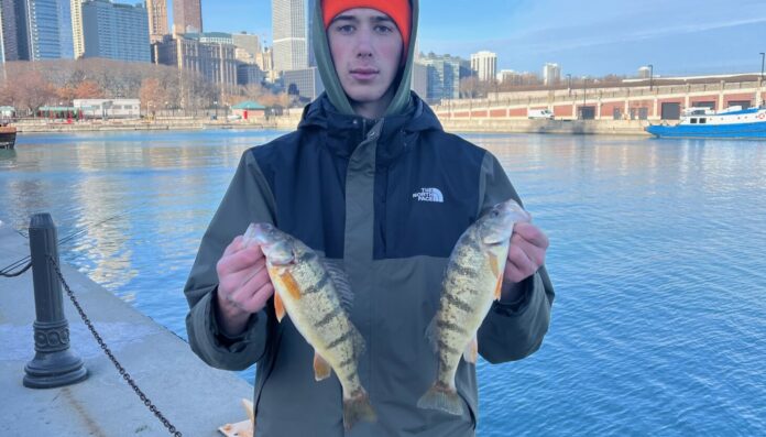 Chicago fishing: Variable ice and variable perch