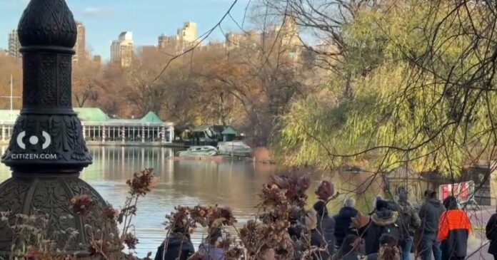 NYPD divers search for UnitedHealthcare CEO shooting weapon in Central Park lake, sources say